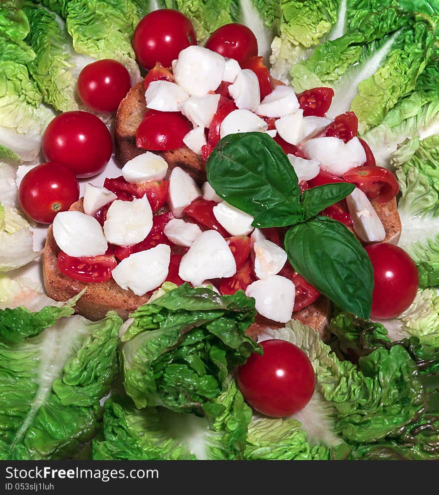 Bruschetta with tomatoes, mozzarella and basil