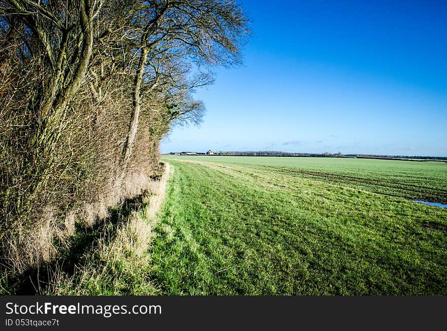 English field bordering on woodland