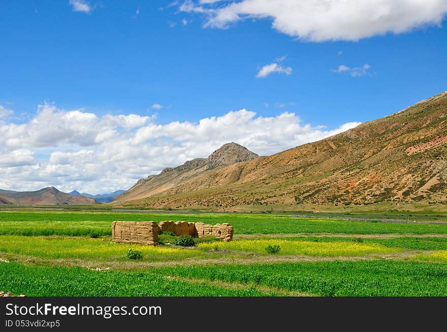 Grasslands and the collapse of the house