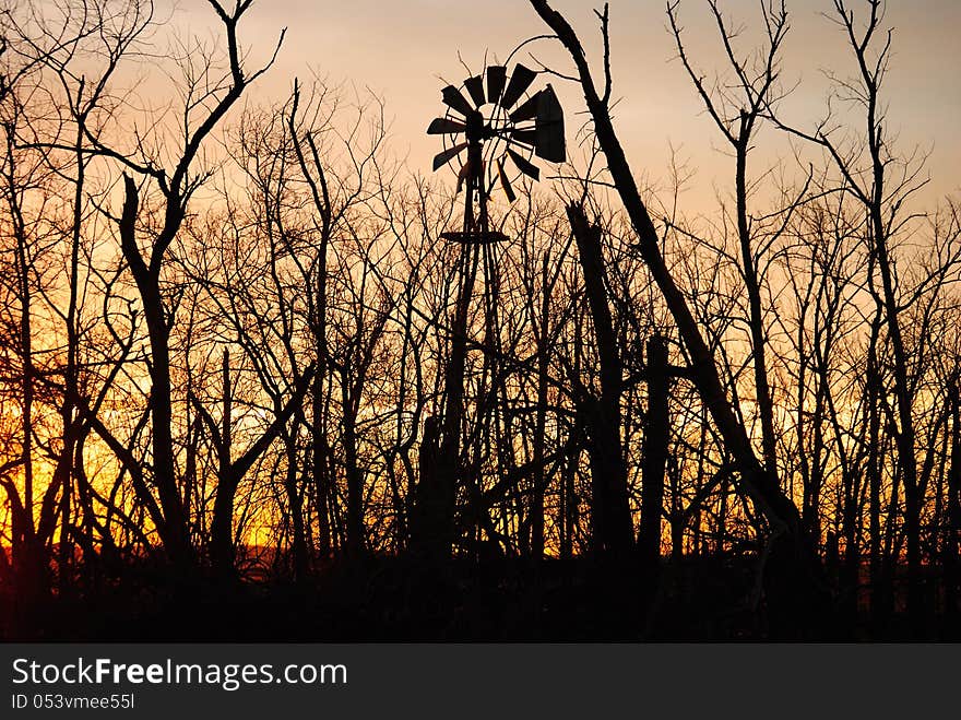 Windmill in Trees