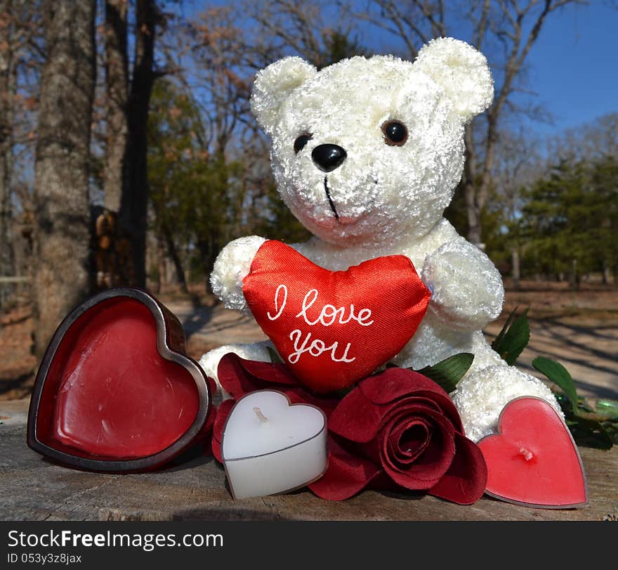 A soft white Teddy Bear holds a heart that says I love you. . A soft white Teddy Bear holds a heart that says I love you.