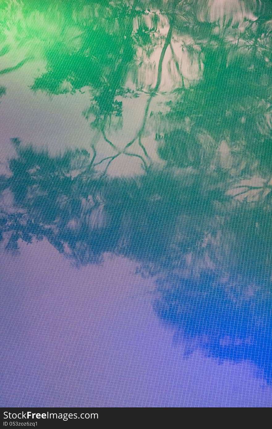 Reflection of trees on a pool water