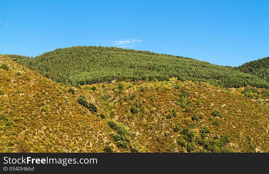 Landscape in Spain (Catalonia,Cerdana)