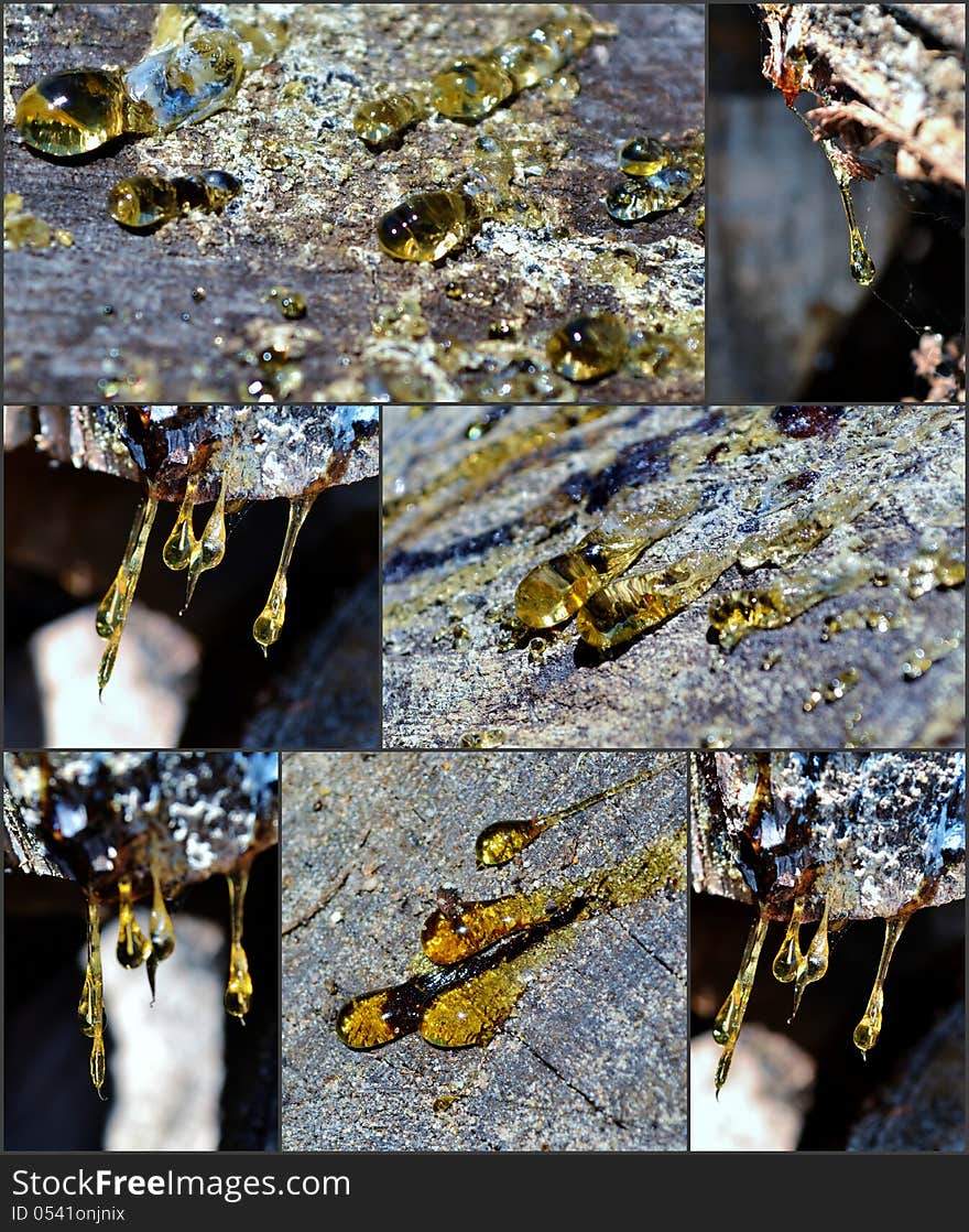 Collage of resin drops in sunlight