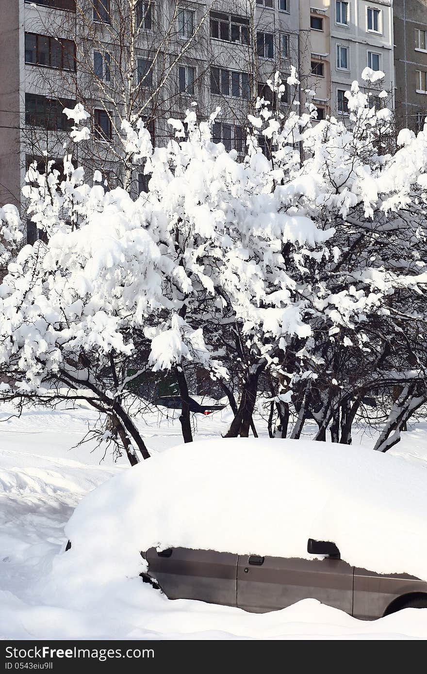 In a city after a snowfall the thick snow carpet covers the earth,cars and plants. In a city after a snowfall the thick snow carpet covers the earth,cars and plants.