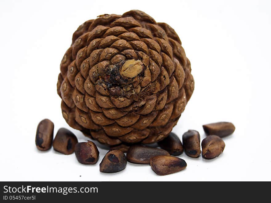 Cone of pine on white background.