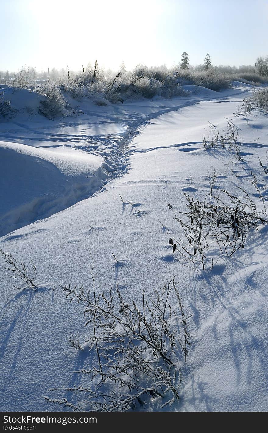 Footpath in snow among bushes in hoarfrost. Footpath in snow among bushes in hoarfrost