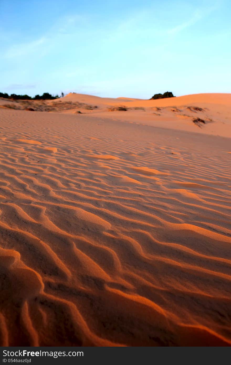 Red Sand Dunes. Sunset