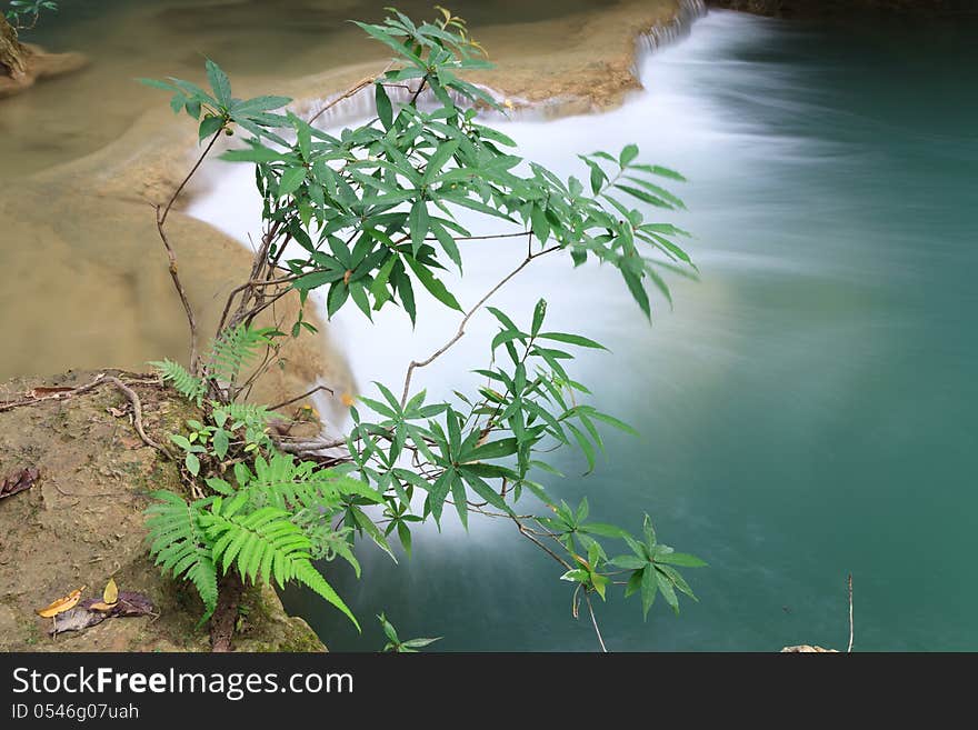 Tree and waterfall - Thailand