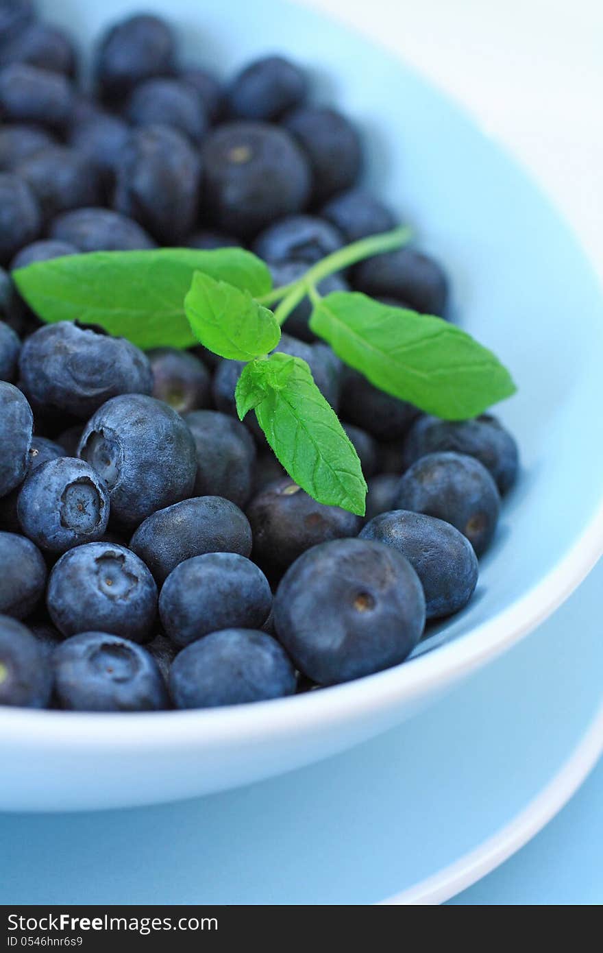 Ripe Blueberries In The Blue Bowl