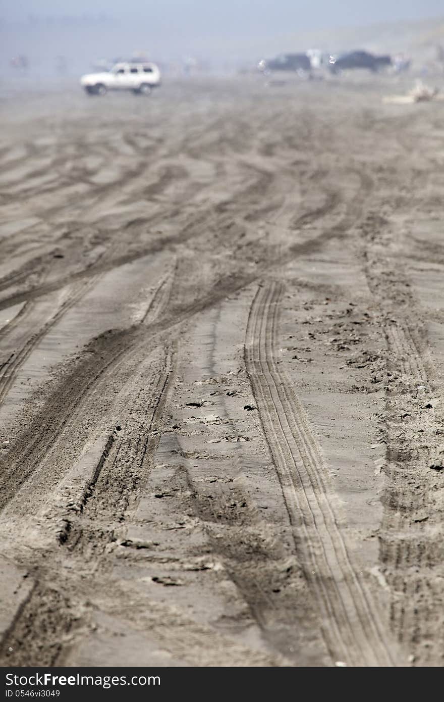 Trucks on the Beach in the Fog