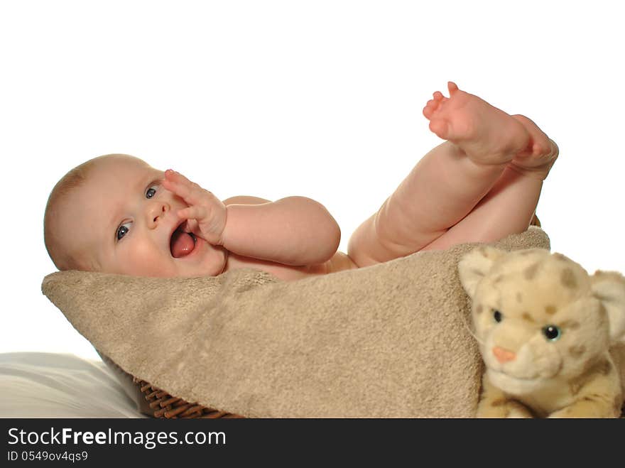 Cute newly-born baby in the basket on white background. Cute newly-born baby in the basket on white background