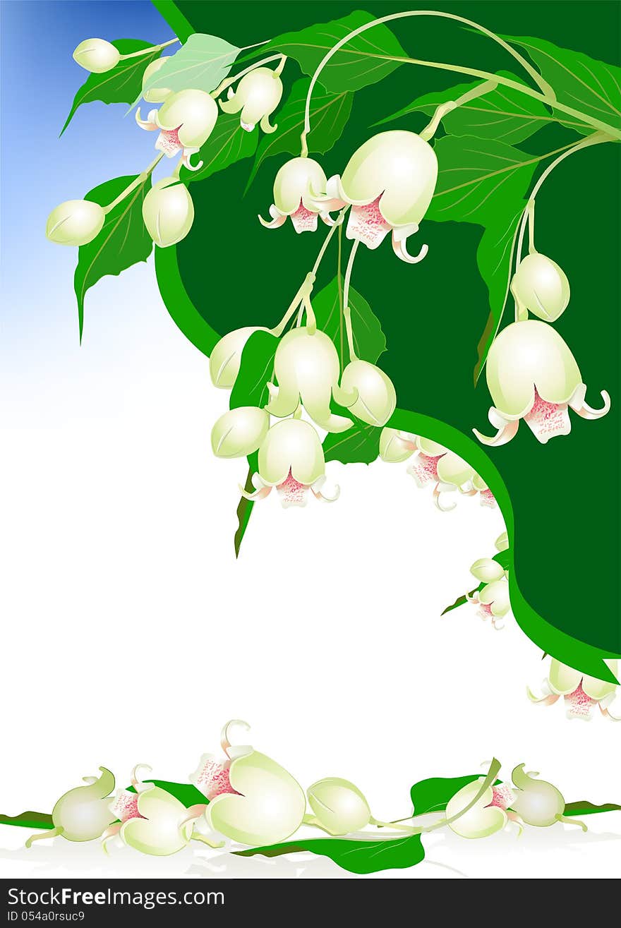 Beautiful spring bells flowers on background. Beautiful spring bells flowers on background