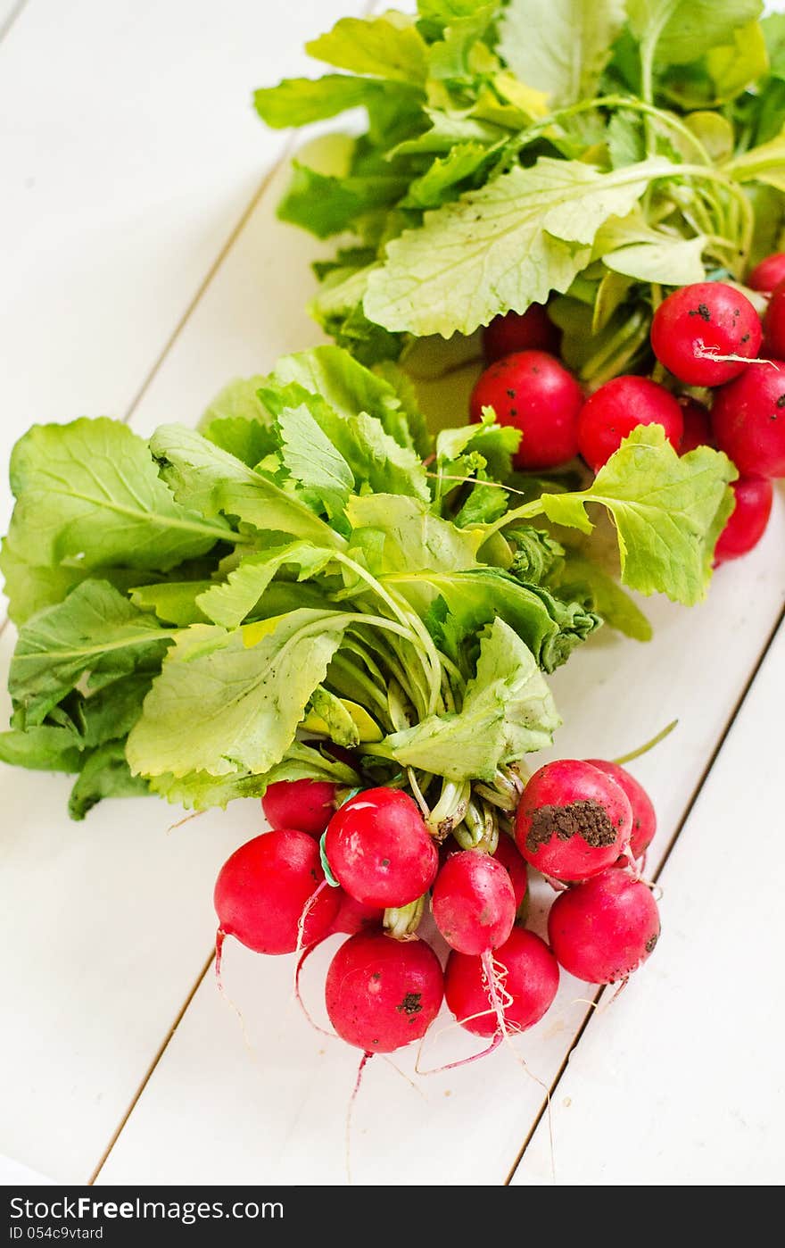 Fresh Radishes