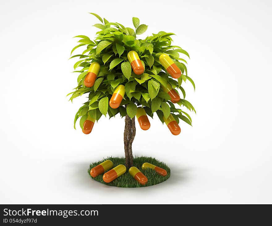 Tree of capsules with on white background