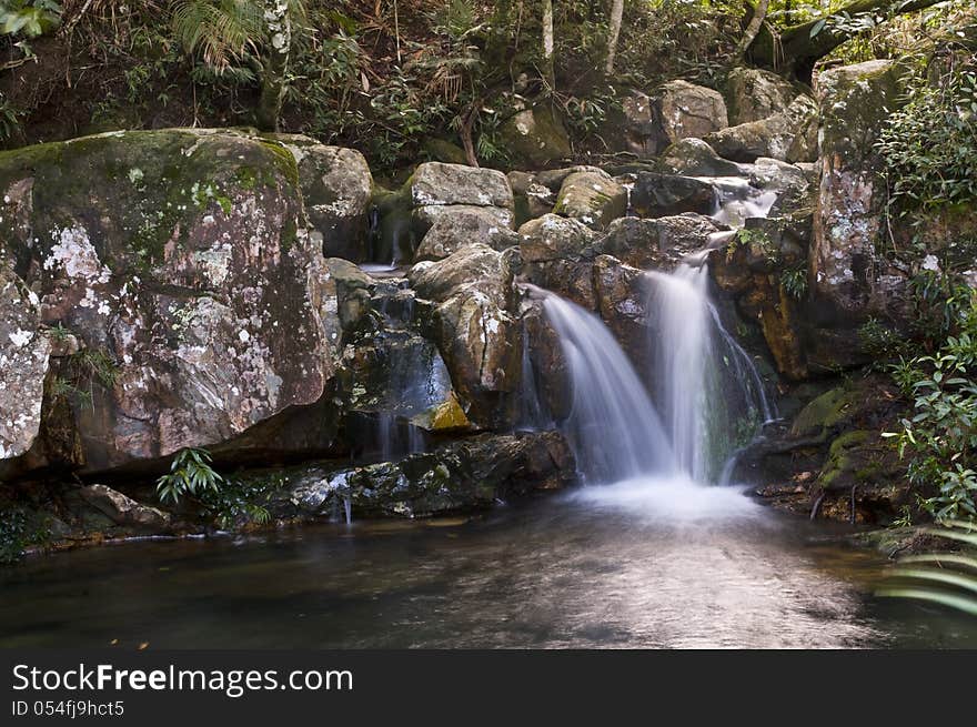 A imaculate stream on amazon jungle. A imaculate stream on amazon jungle.