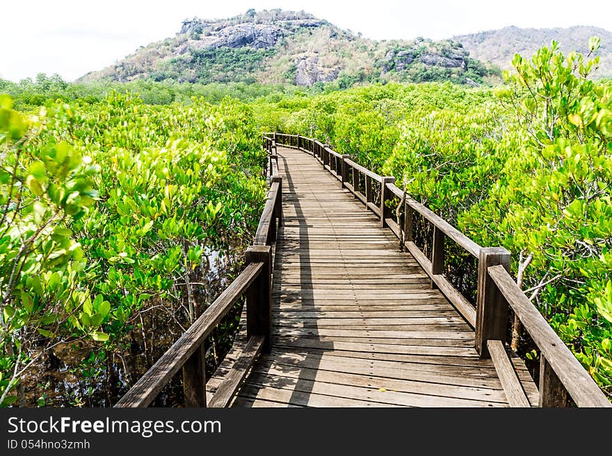 A wooden bridge on mangrove forest