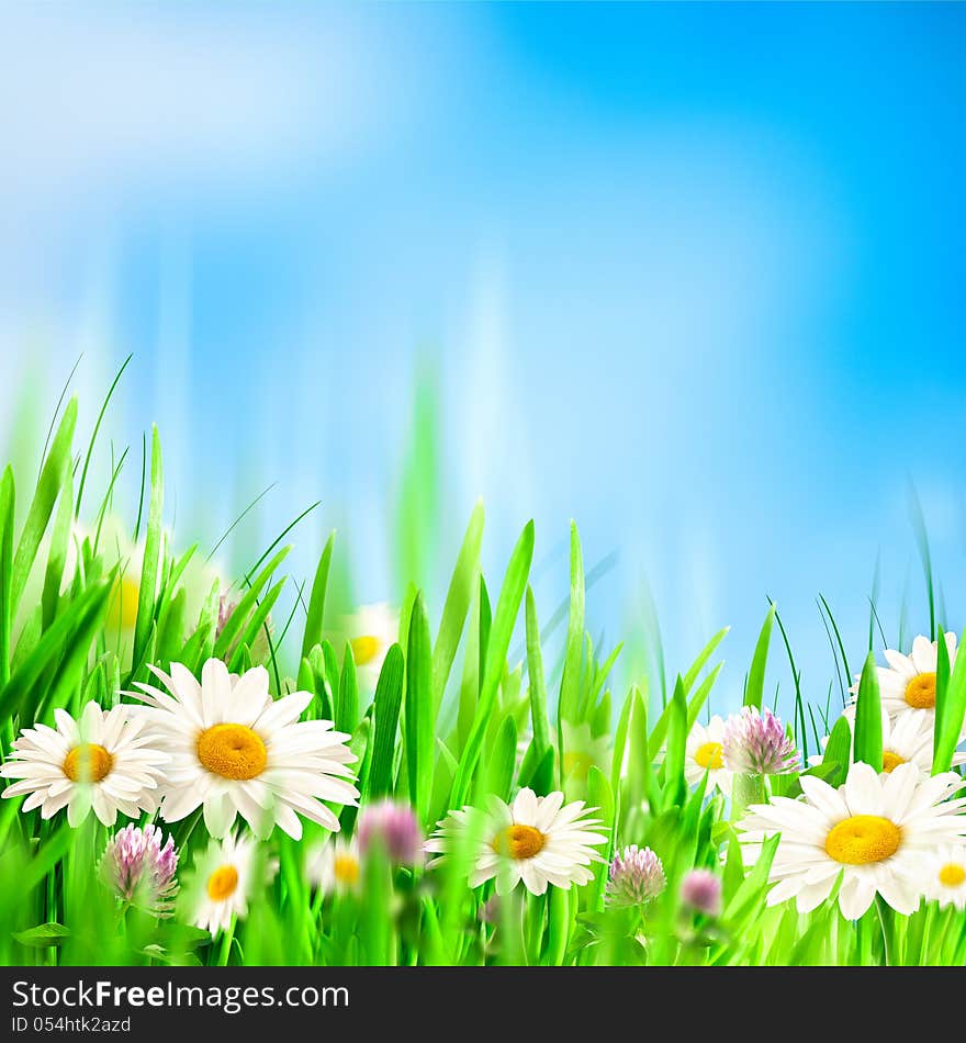 Chamomile symphony. Abstract natural backgrounds for your design