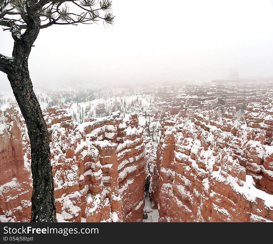 Bryce Canyon in Winter