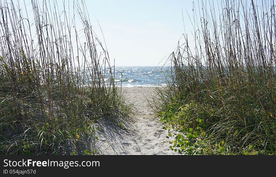 Sand dunes and sea oats