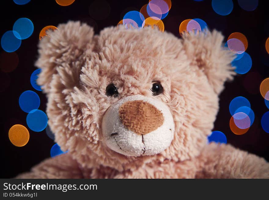 Brown bear sitting on black background. Brown bear sitting on black background