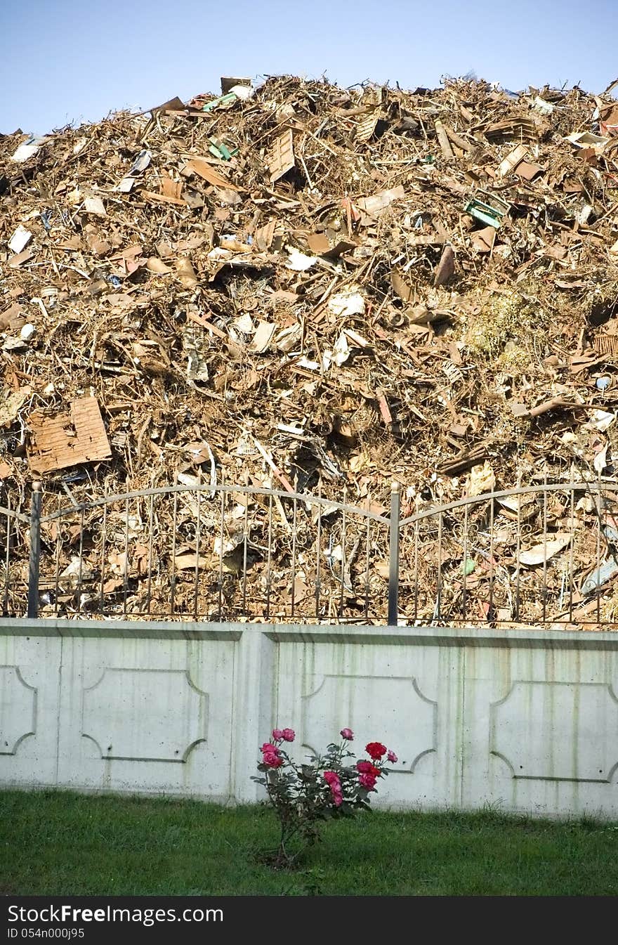 Flower garden and a junkyard. Flower garden and a junkyard