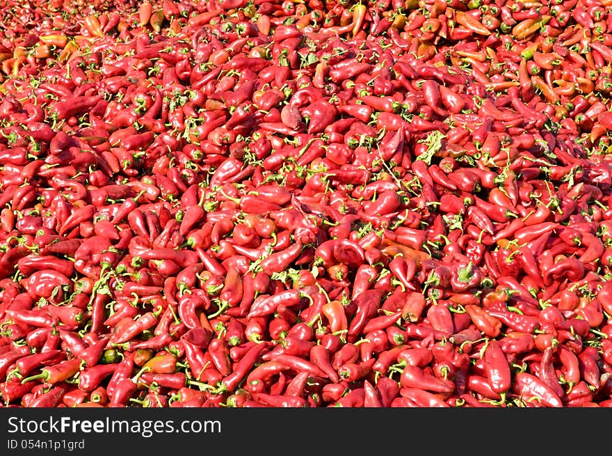 Red Peppers