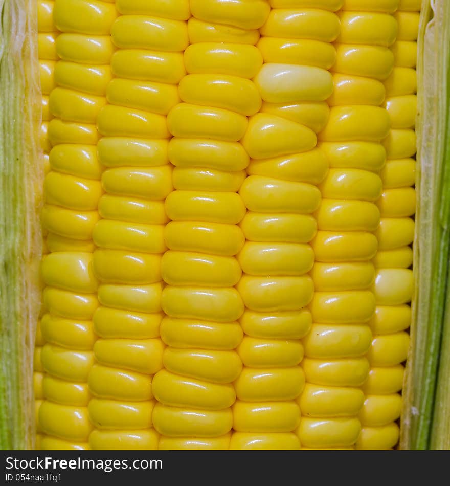 Close up of corn cob. Close up of corn cob