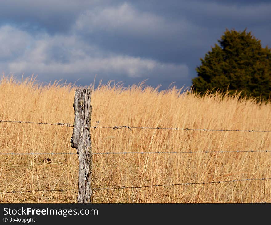 Sunlight and dark clouds on a field of sage.