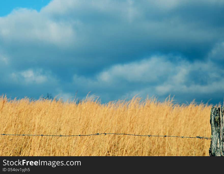 Sunlight and dark clouds on a field of sage.