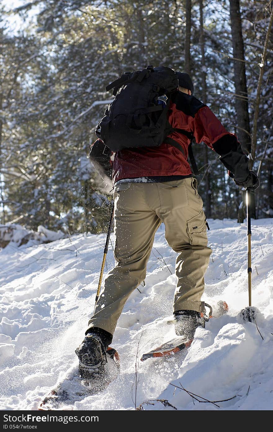 Backcountry Snowshoeing