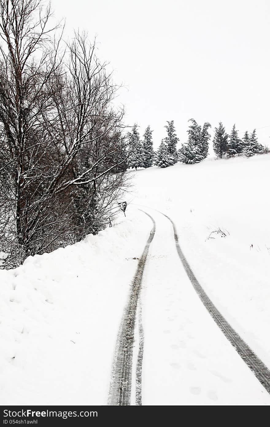 A path in the snow