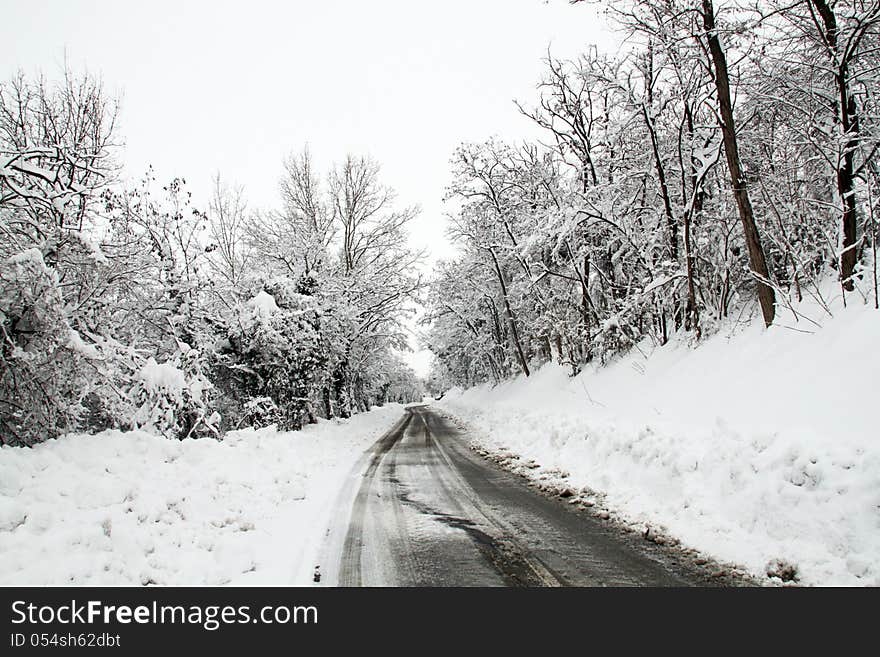 A Path In The Snow