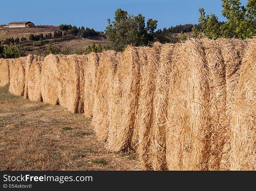 Row of bales of hay