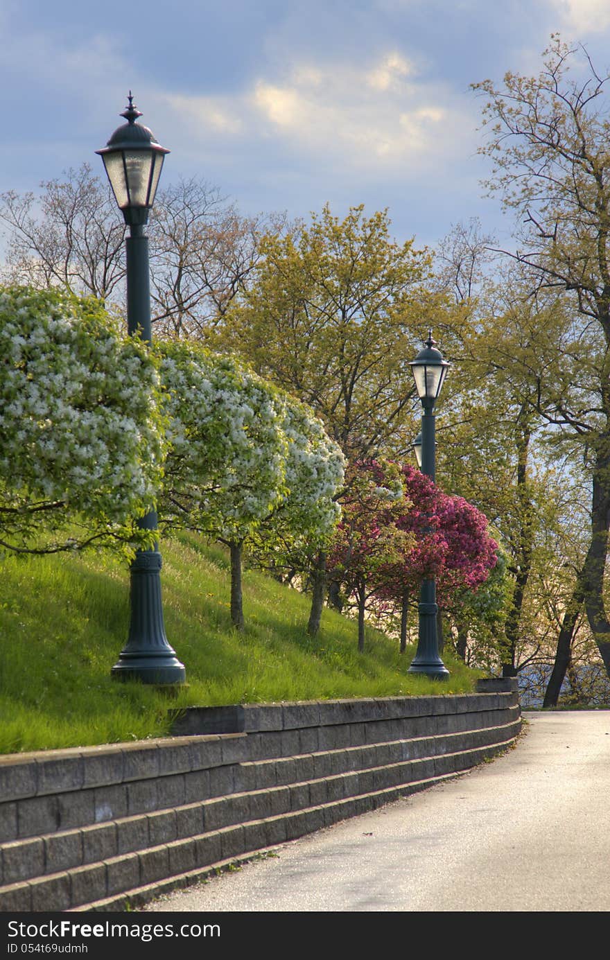 Suburban sidewalk lined with trees and lights