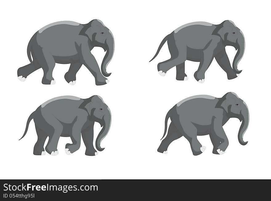 Different poses of the elephant run.