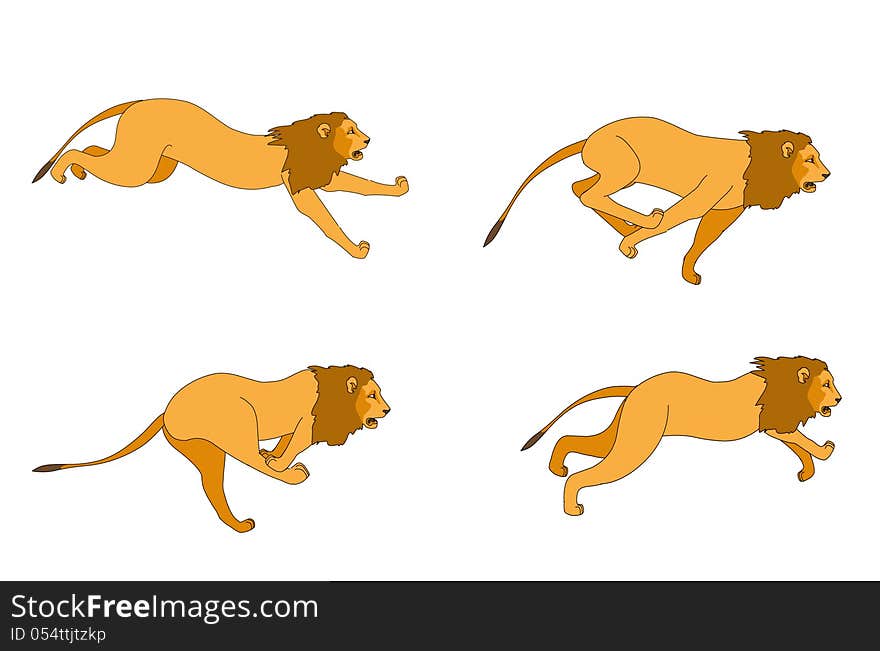 Different poses of a Lion run