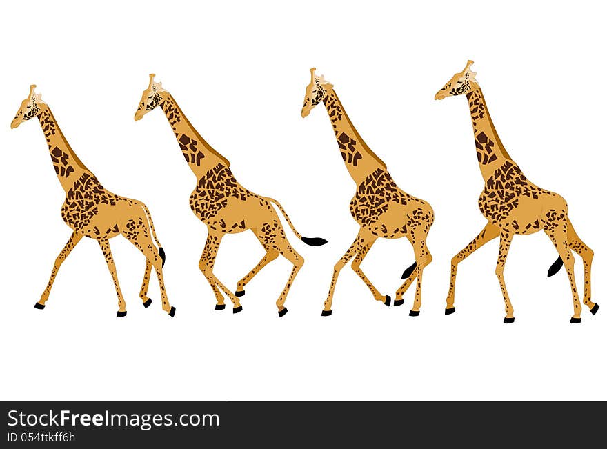 Various poses of a giraffe run