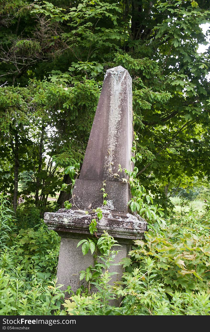 Weeds and grass over take a forgotten tombstone in New Brunswick canada. Weeds and grass over take a forgotten tombstone in New Brunswick canada