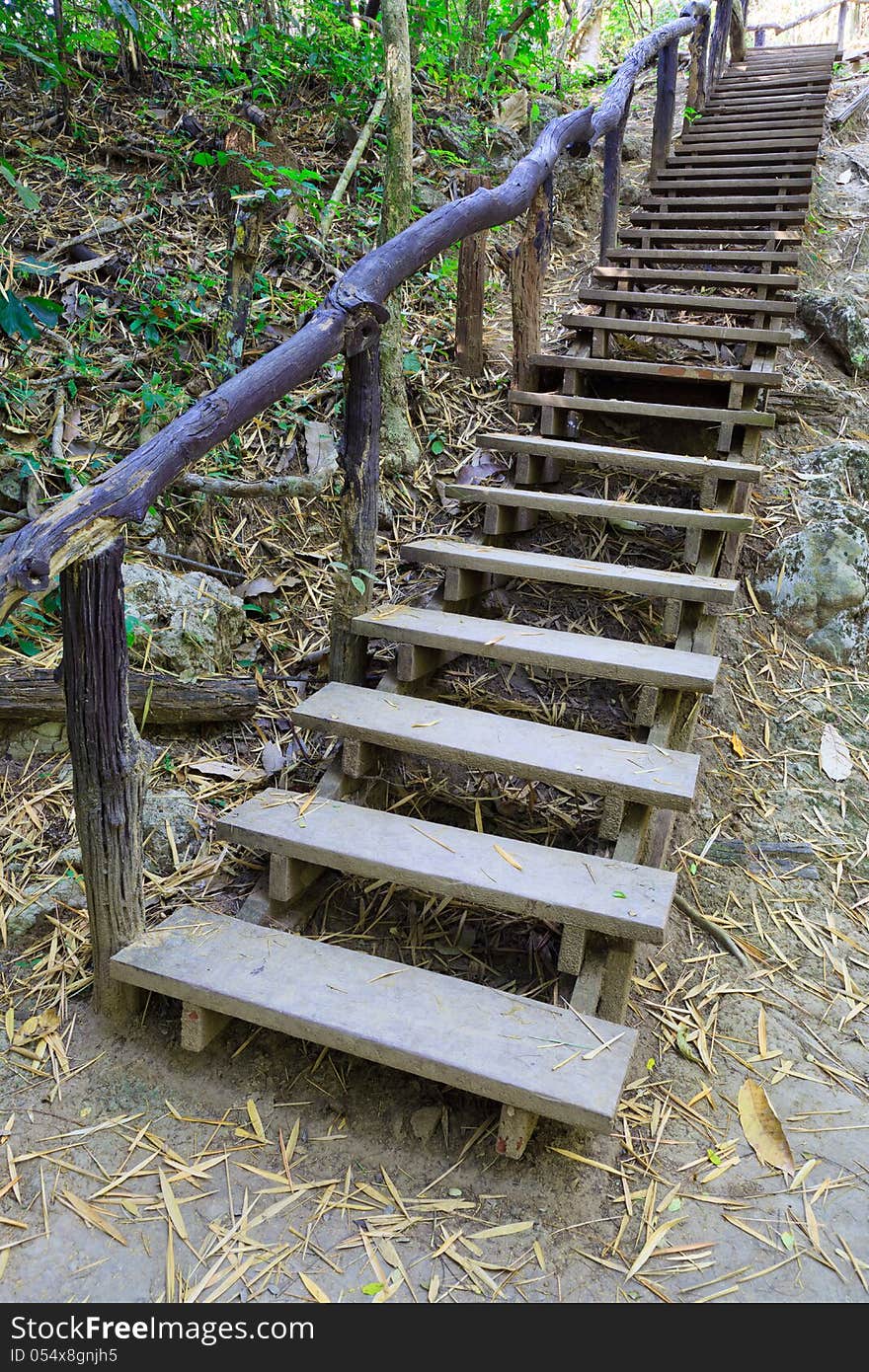 Wooden Stair in the Forest Trail