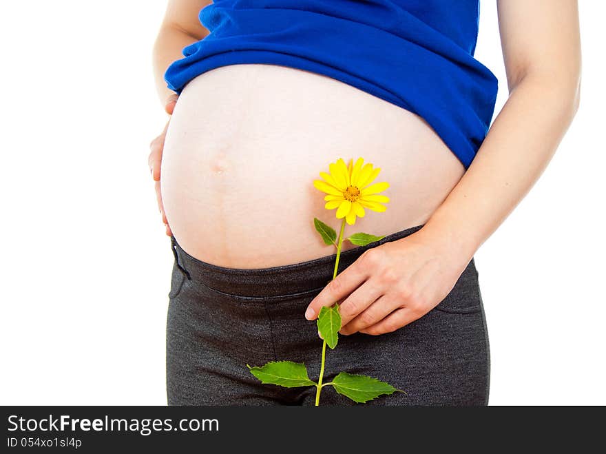 Pregnant woman holding a flower isolated on white background