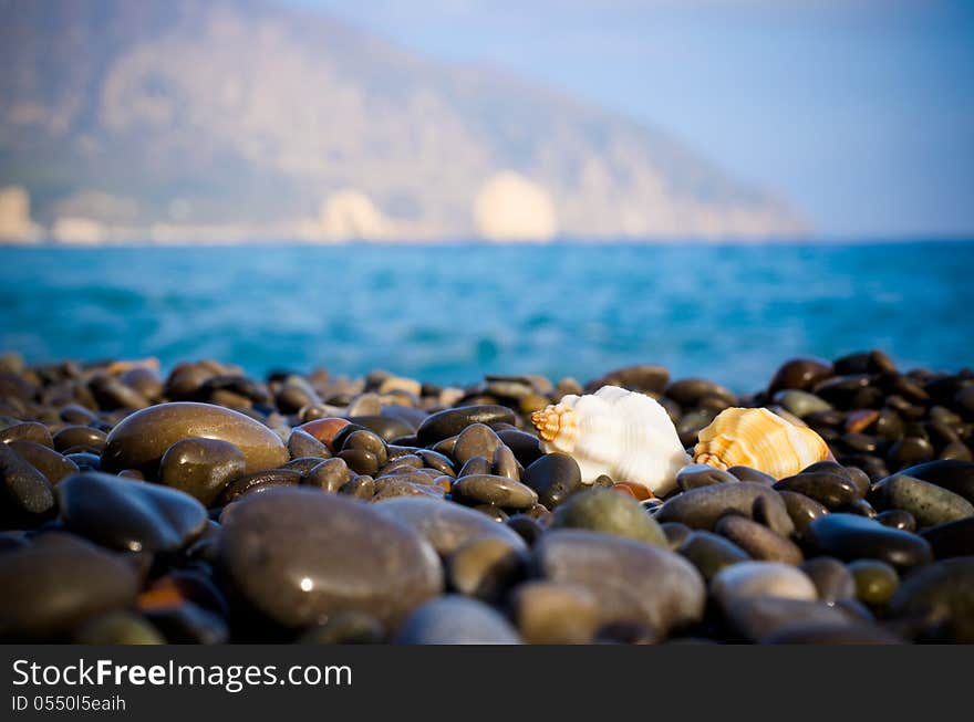 Black Sea coast in Crimea