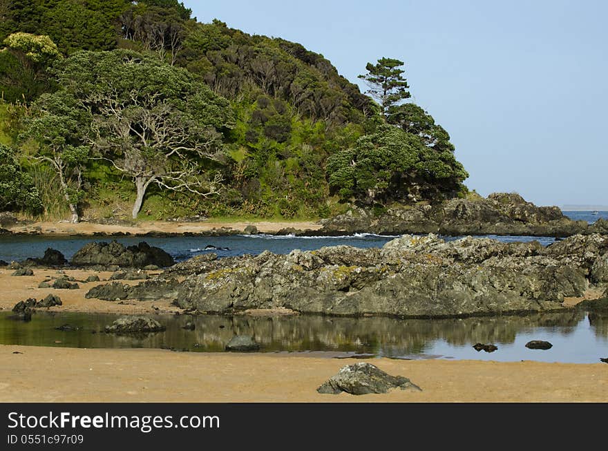 Wild beach in New Zealand