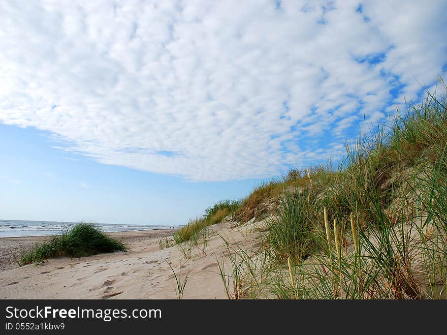 View of the Baltic sea shore with sand dunes