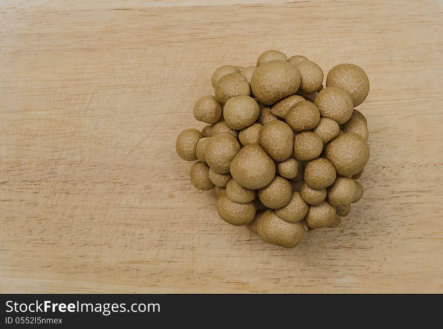 Group of fresh brown mushroom