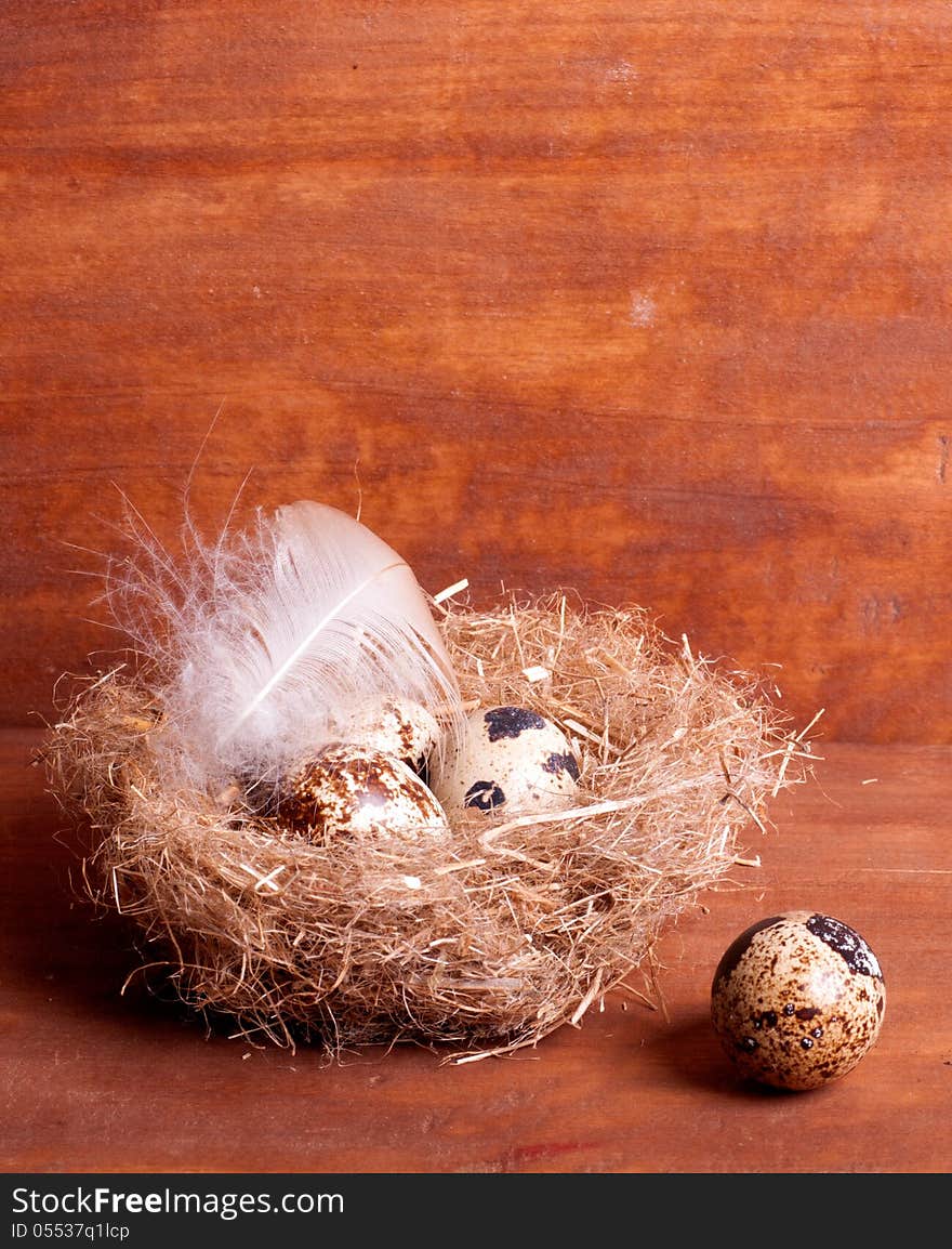 Quail egg near the nest with eggs