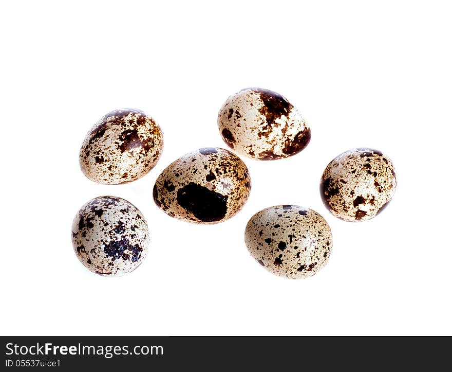 Quail eggs on the white background