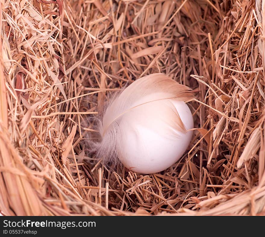 One white egg with a feather in the nest