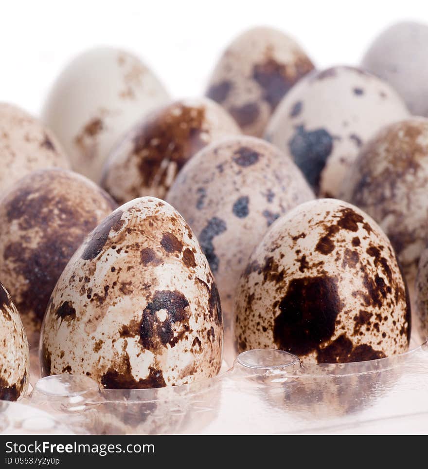 Quail eggs in a number of close-up on white. Quail eggs in a number of close-up on white