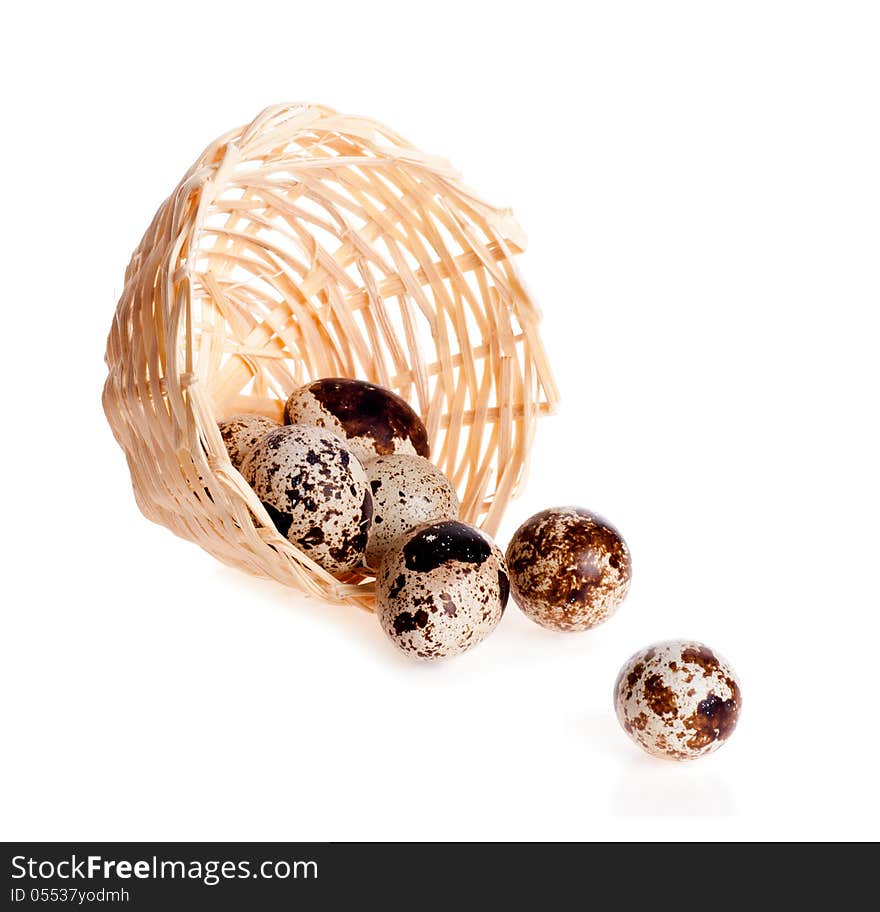 Quail eggs poured out from the basket on the white